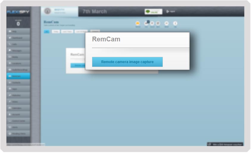 Step 4 - Click the Remote Camera Image button, then click Continue 