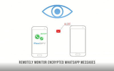 How To Spy On WhatsApp | FlexiSPY Video