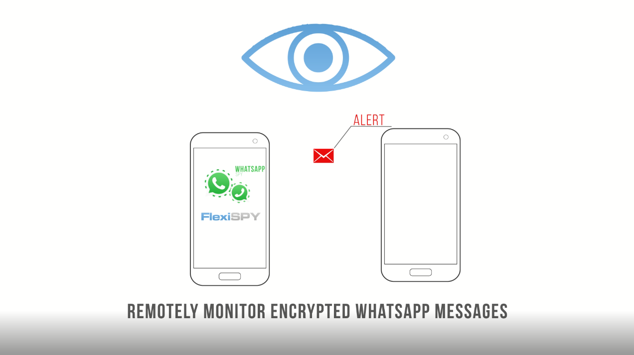 how to spy on whatsapp